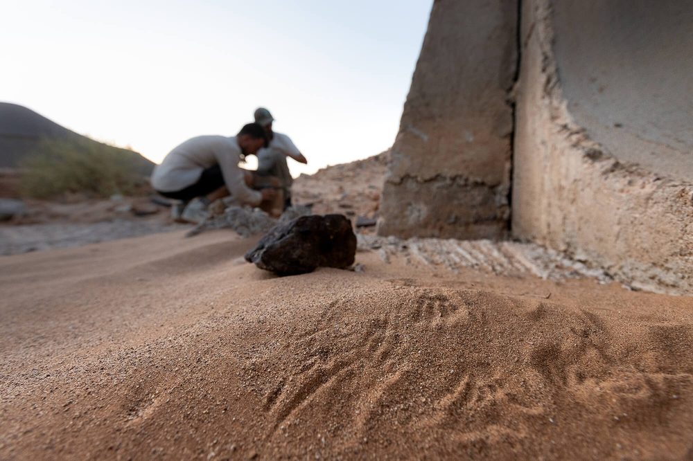 Haytam Iallaten et Colin Ruffieux installant un piège photographique sur des traces de Varanus griseus, province de Tata, Maroc
