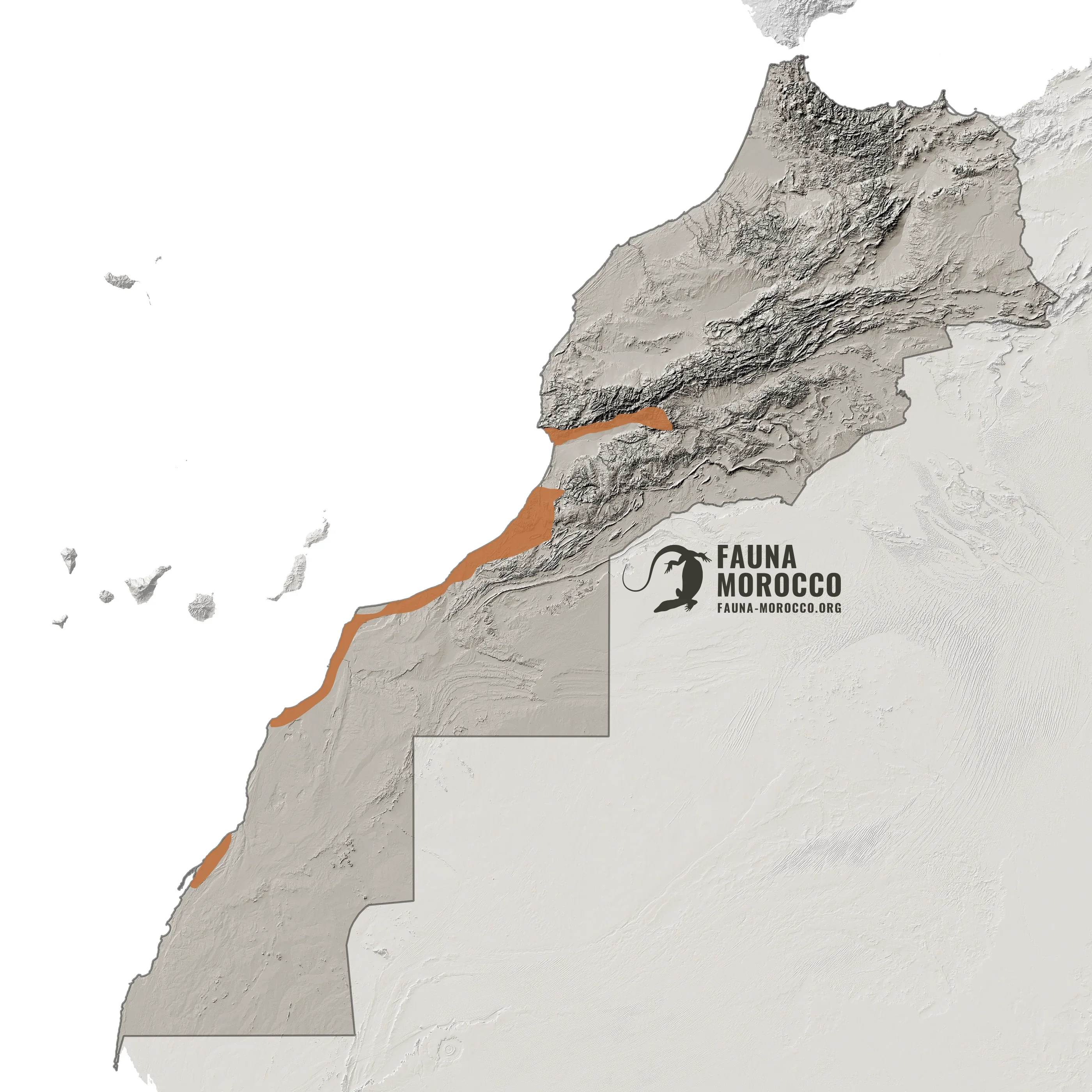 Puff Adder (Bitis arietans) range map in Morocco