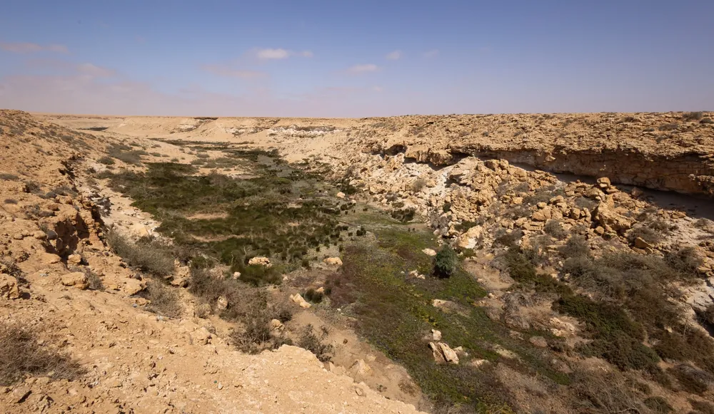 Depression among desert plateaus, Puff Adder habitat in southern Morocco