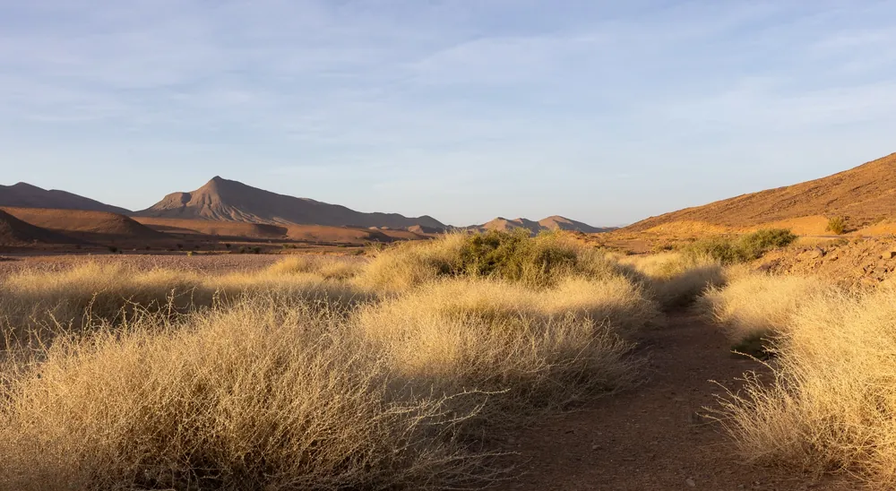 Clayey, rocky ground with denser vegetation near Agdz, Morocco