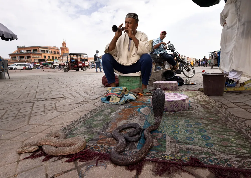 Charmeur de serpents jouant de la flûte devant un cobra sur la place Jemaa el-Fna, Marrakech, Maroc