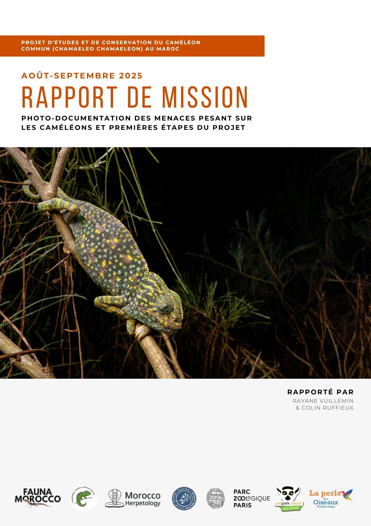 Chameleon mission report