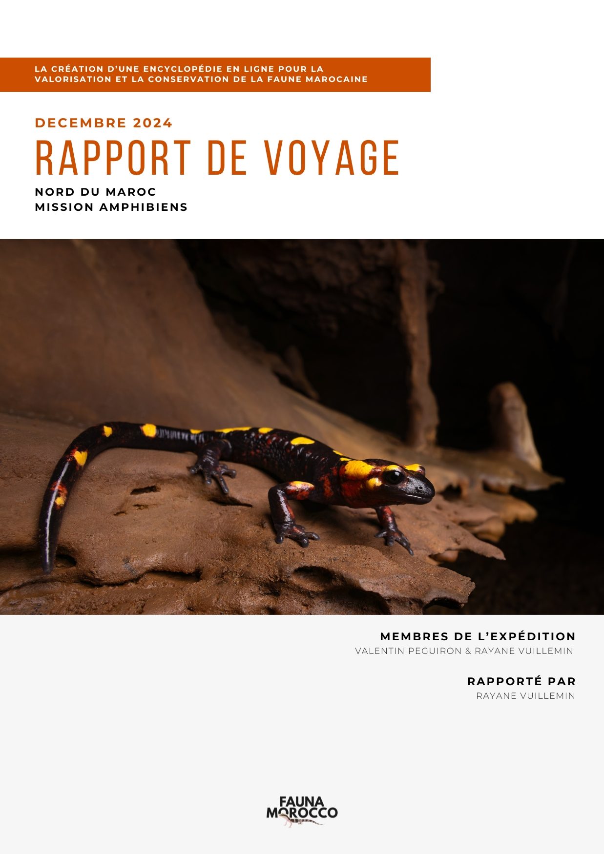 Northern Morocco trip report
