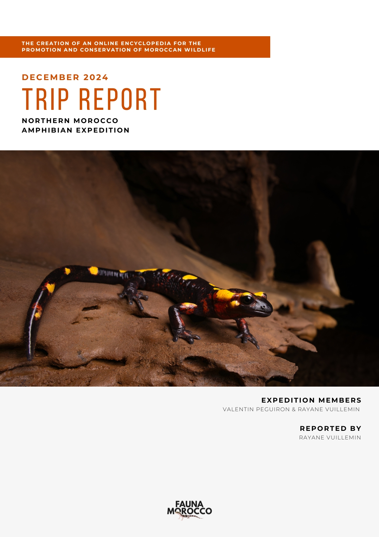 Northern Morocco trip report