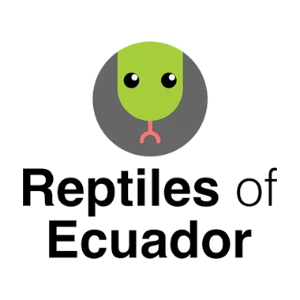 Reptiles of Ecuador