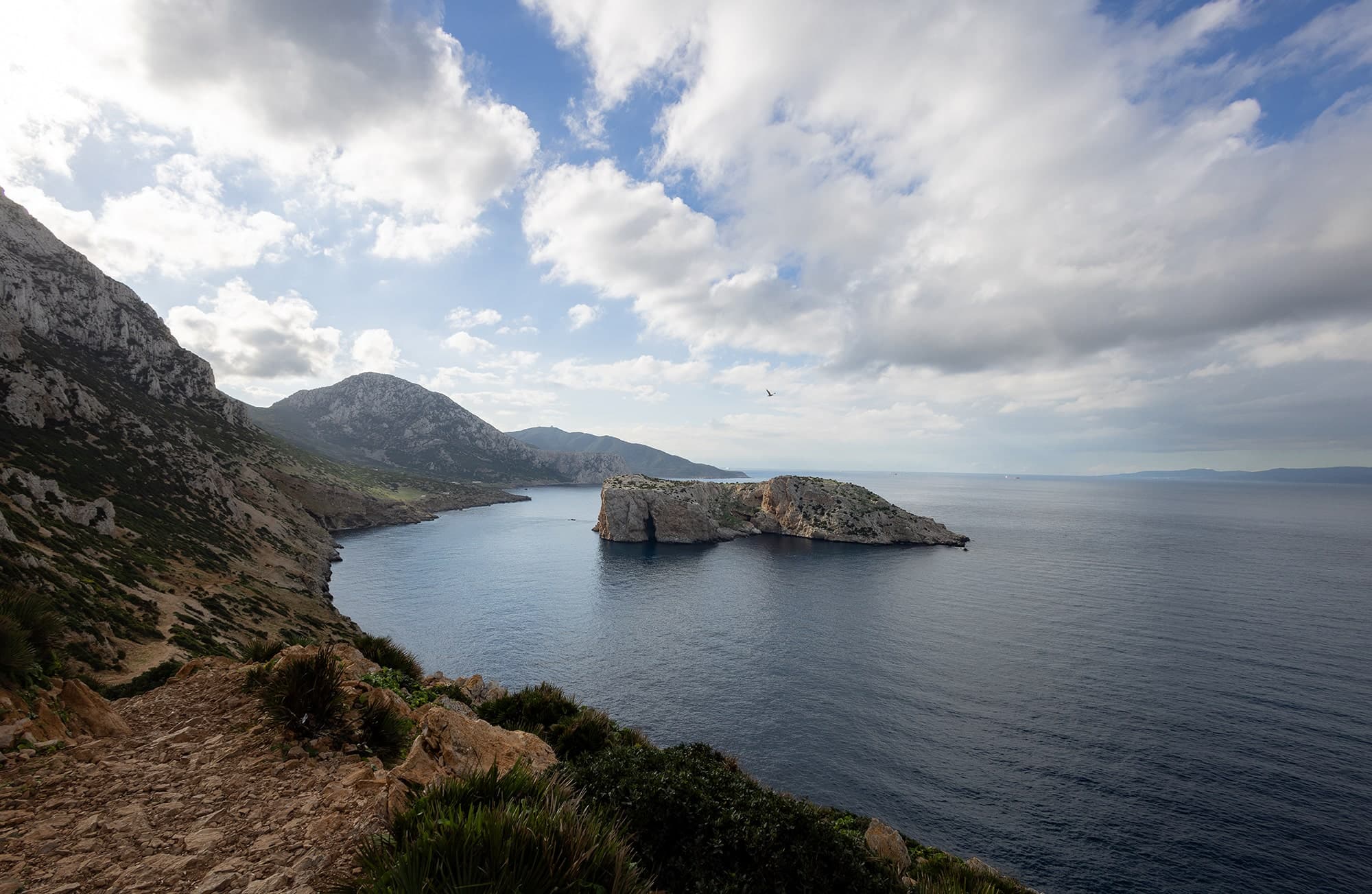 Belyounech - Morocco's Northern Tip Belyounech Mediterranean coast viewpoint from Jbel Musa base at northernmost point of Morocco - wildlife expedition landscape photography
