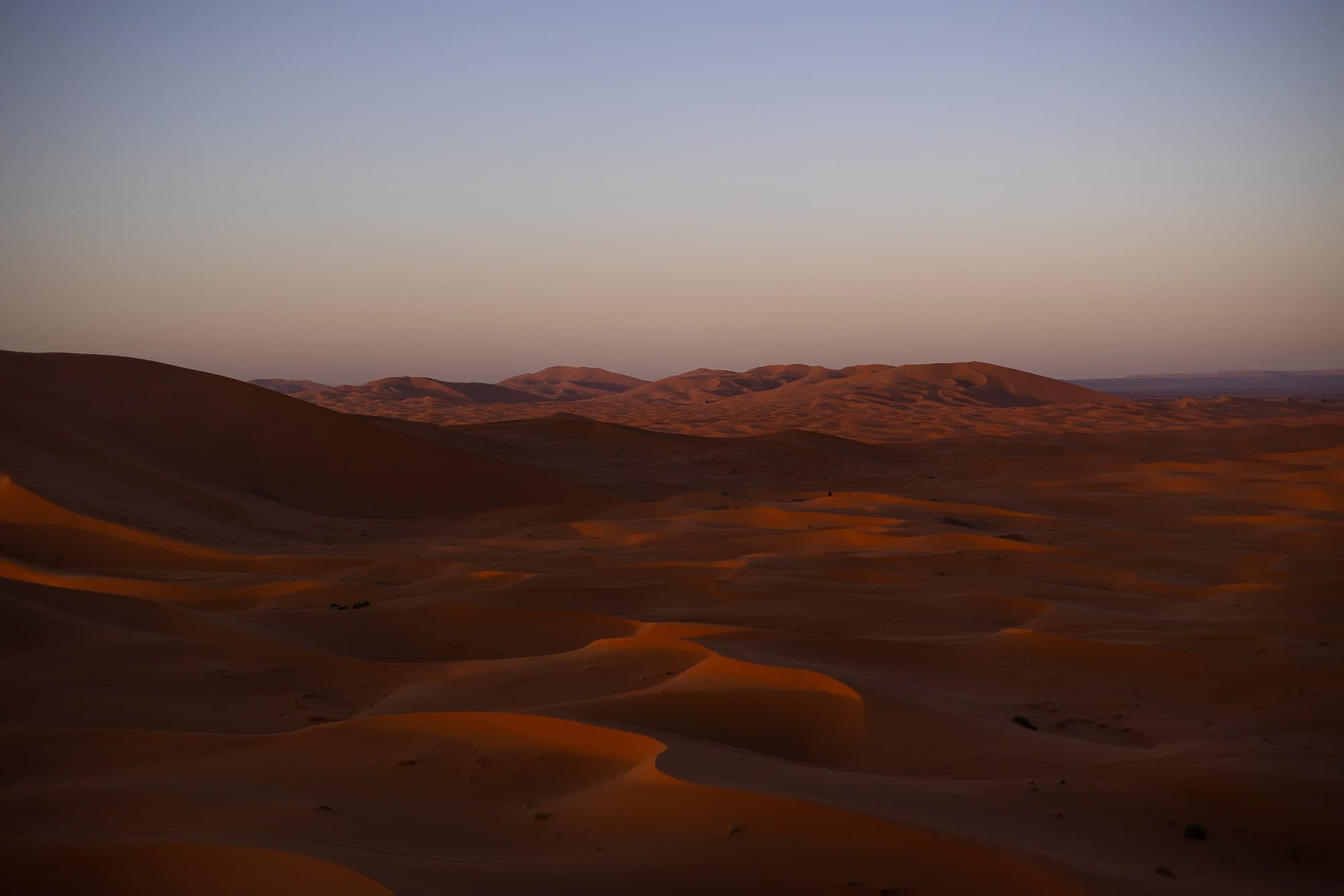 Sahara Sunset - Merzouga Dunes Sahara Desert sand dunes near Merzouga at sunset Morocco - golden hour expedition photography in North Africa wilderness