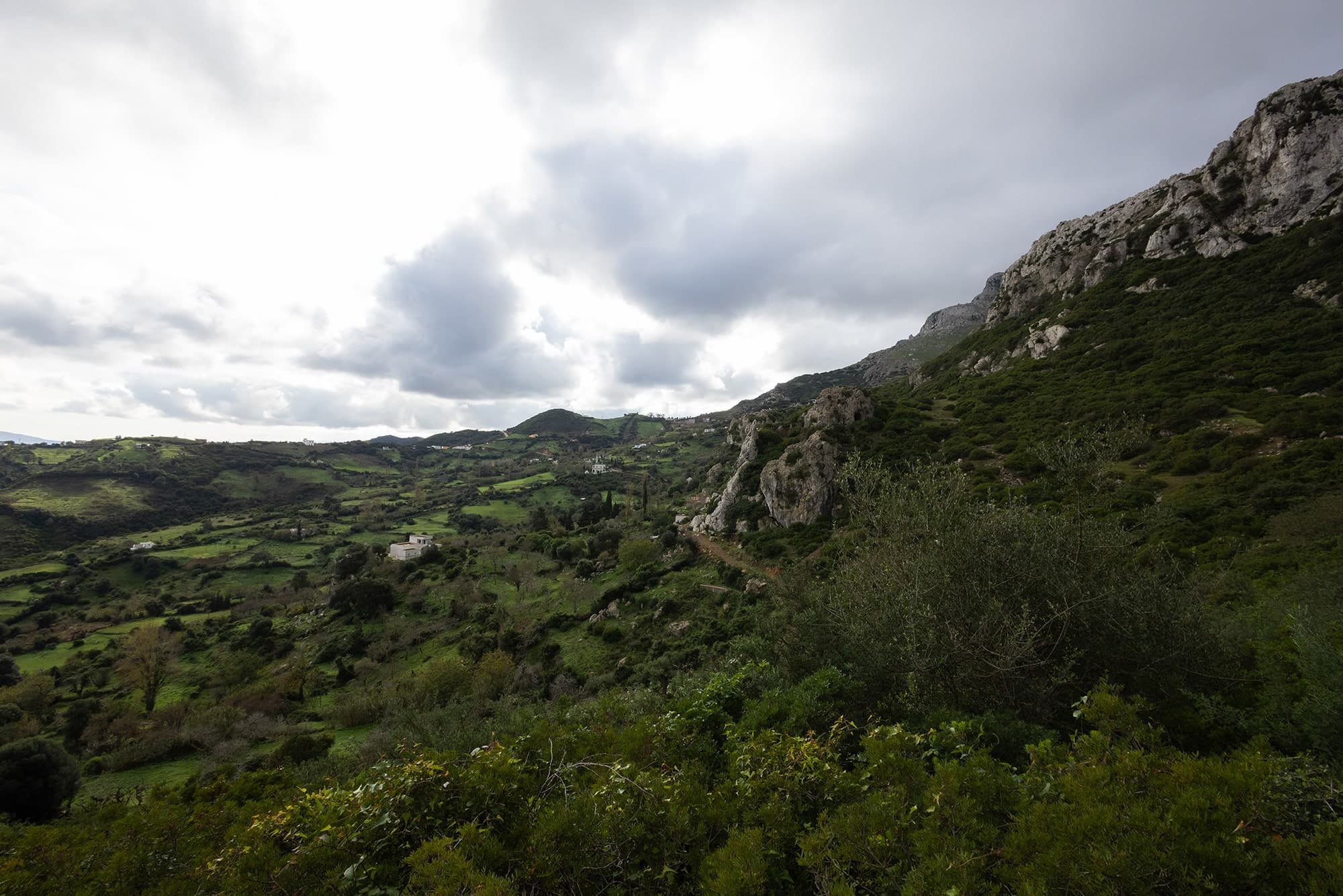 Boujmil - Northern Morocco Biodiversity Boujmil northern Morocco green landscape habitat for macaques porcupines and salamanders - biodiversity wildlife expedition area