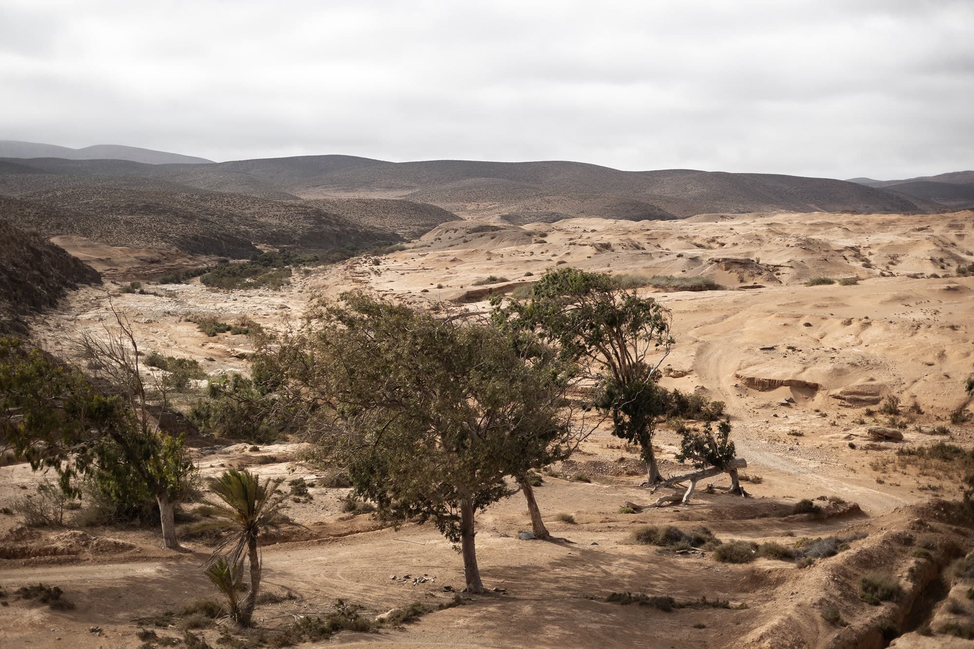 Guelmim Region - Biodiversity Hotspot Dramatic landscape southwest of Guelmim Morocco biodiversity hotspot - southern Morocco expedition wildlife habitat photography