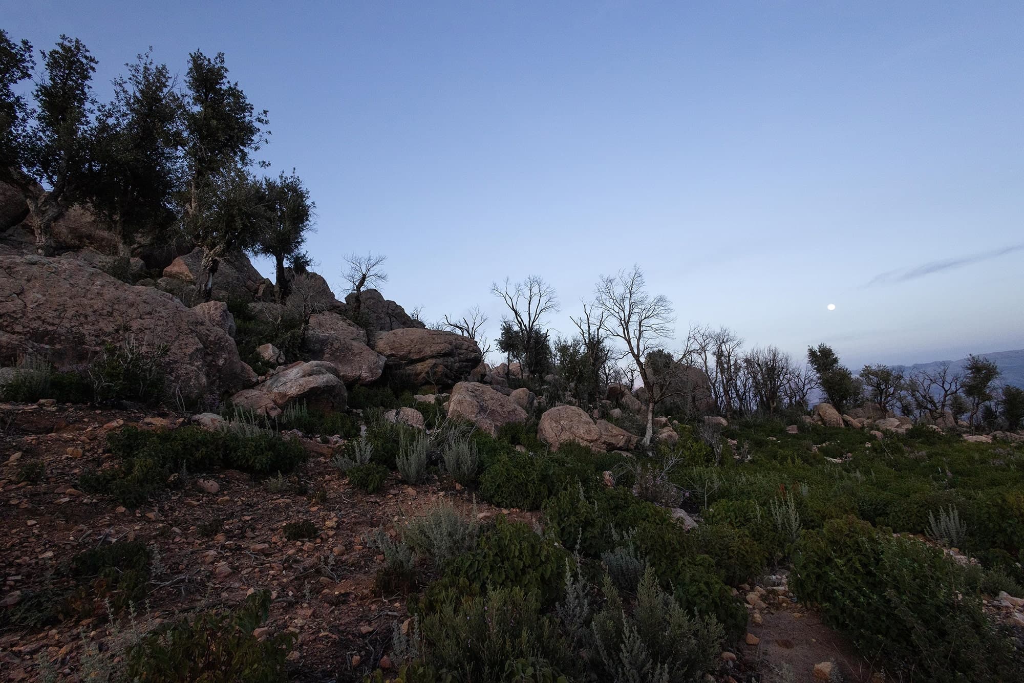 Rif Mountains - Morocco's Wild West Rif Mountains Morocco landscape resembling American Southwest - dramatic mountain terrain wildlife expedition photography