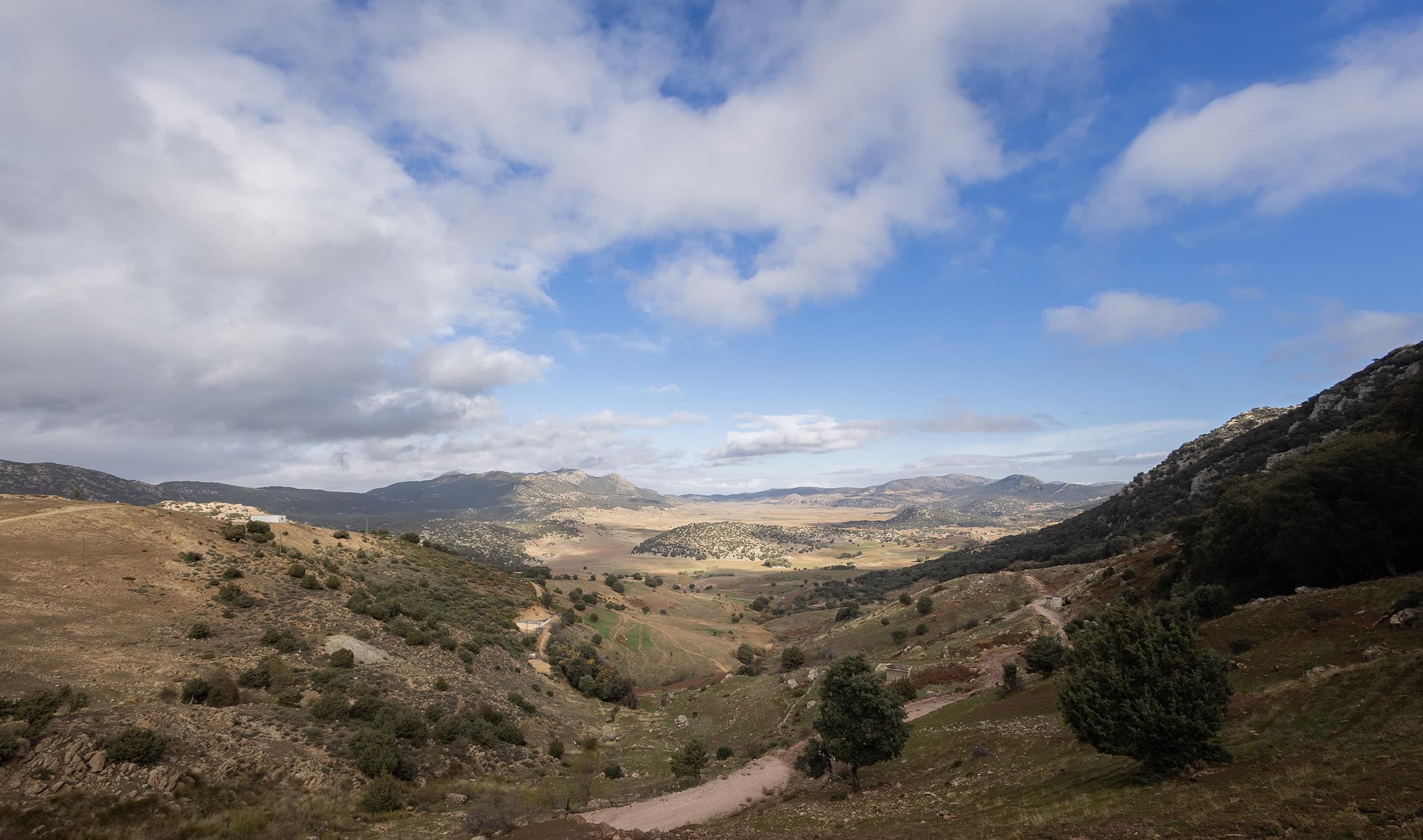 Tazekka National Park - Atlas Biodiversity Tazekka National Park Middle Atlas northern Morocco biodiversity hotspot - humid forest wildlife conservation area expedition