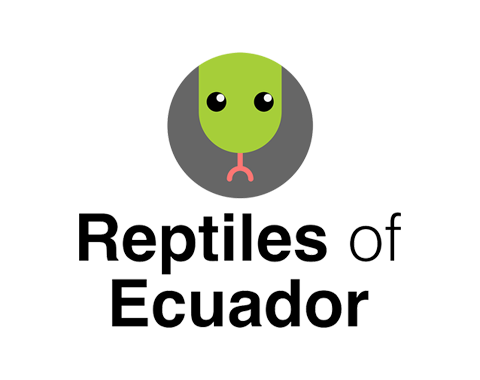 Reptiles of Ecuador