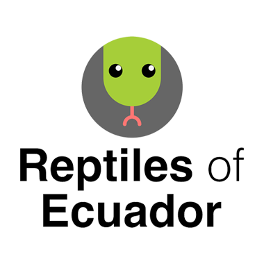 Reptiles of Ecuador
