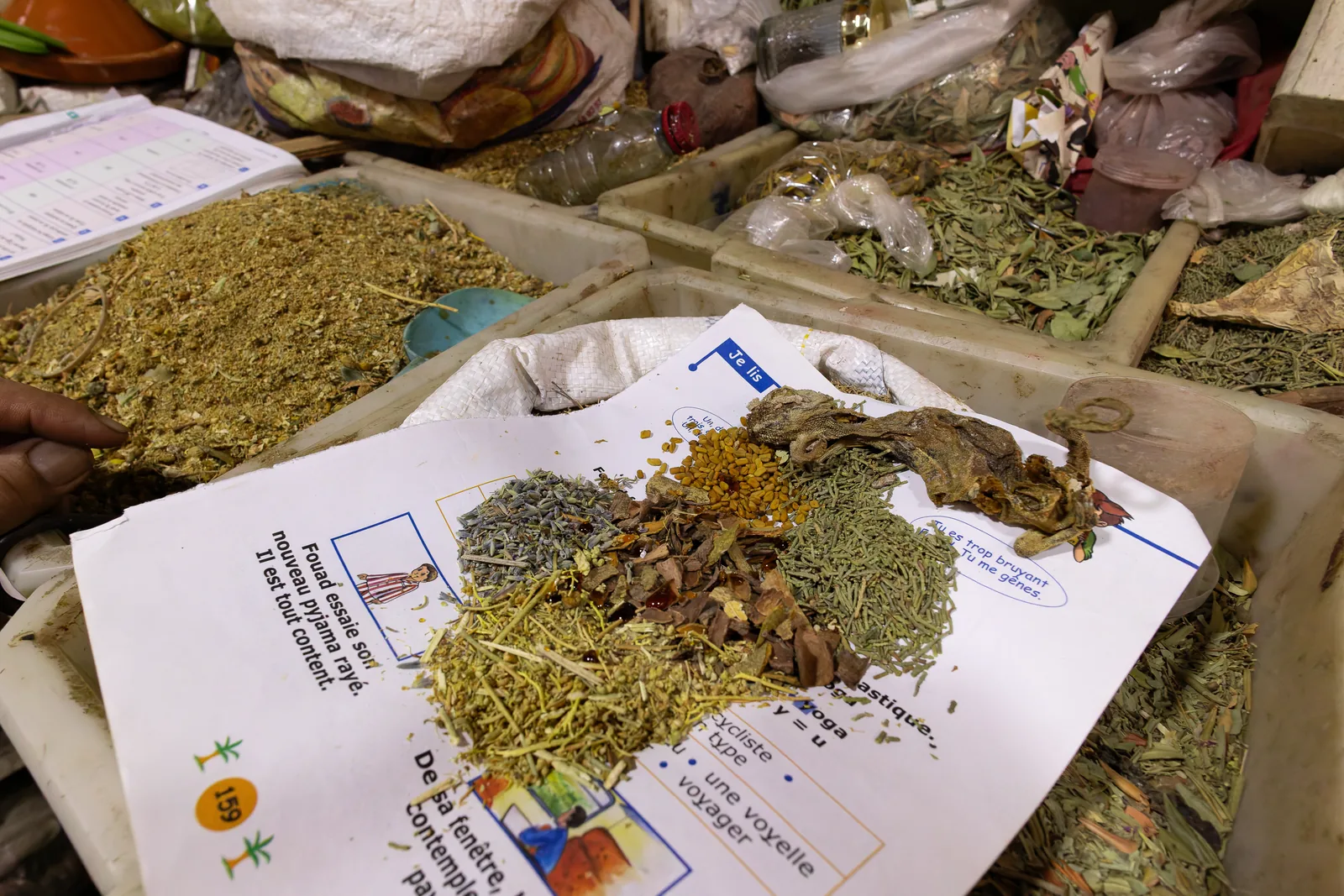 Incense mix. Once burned, the chameleon is supposed to ward off the evil eye and bring luck.